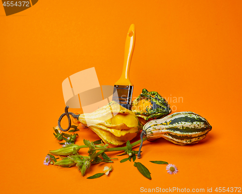 Image of Autumn Composition A variety of decorative pumpkins and a brush