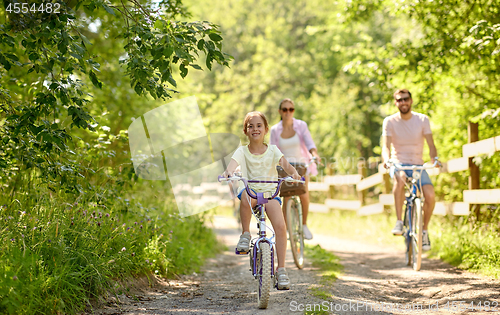 Image of happy family riding bicycles in summer park