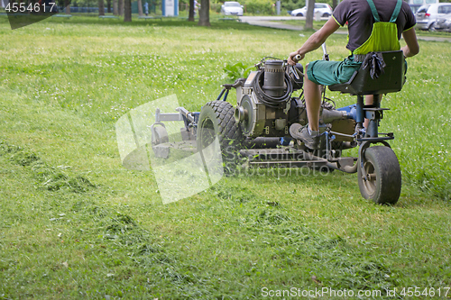Image of Worker mowing grass in a city park