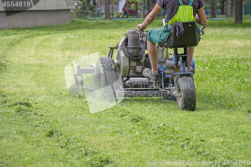 Image of Worker mowing grass in a city park