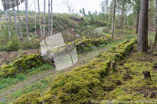 Image of Mossy dry stone walls surrounding a country road in the woods