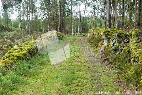 Image of Moss covered stonewalls by a country road