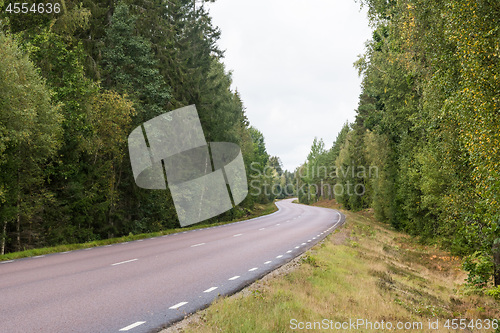 Image of Winding asphalt road through a green forest