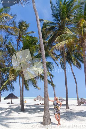 Image of Perfect white sandy beach with palm trees, Paje, Zanzibar, Tanzania