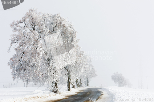 Image of countryside rural winter road going in to the fog