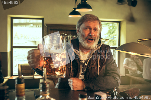 Image of The senior bearded male drinking beer in pub