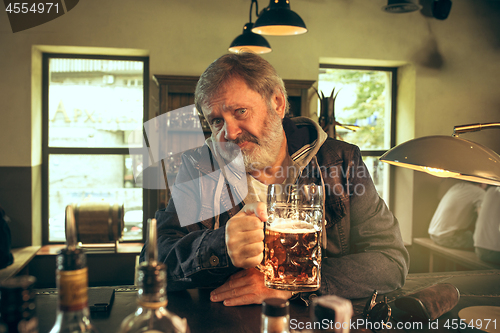 Image of The senior bearded male drinking beer in pub