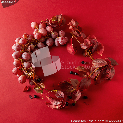 Image of a frame of grapes and leaves