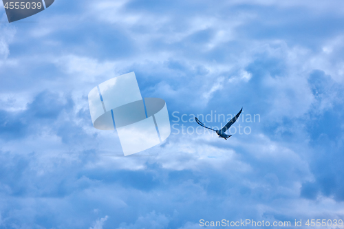 Image of clouds in the blue sky