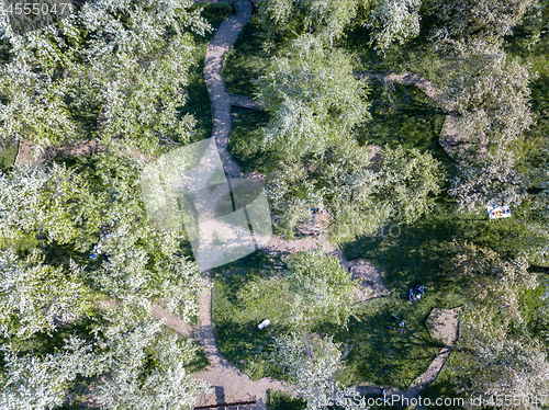 Image of Aerial view of a green park on a sunny day. Kiev, Ukraine.