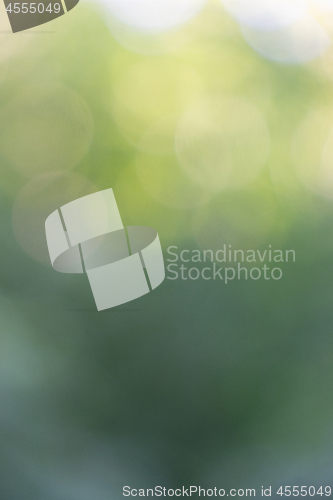 Image of Beautiful green yellow abstract layout with bokeh circles. Creative background