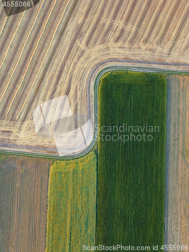 Image of Abstract geometric background of agricultural fields with different crops and soil without crop sowing, separated by road