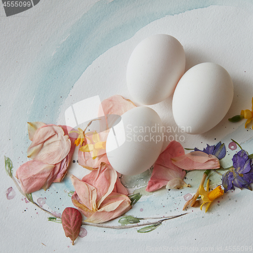 Image of eggs on a paper