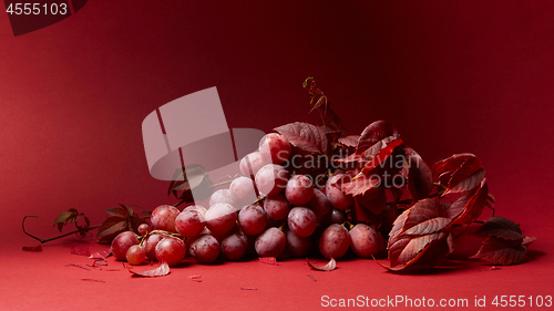 Image of ripe fresh red grapes on a red background