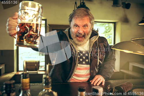 Image of The senior bearded male drinking beer in pub