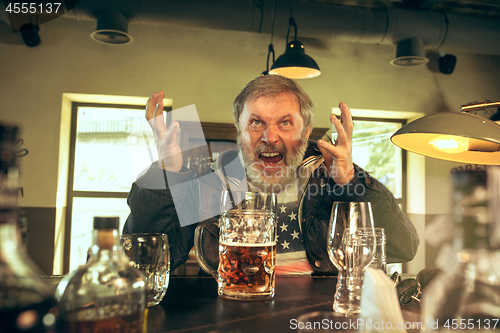 Image of The senior bearded male drinking beer in pub