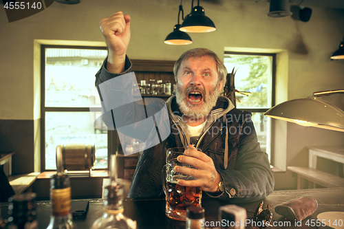 Image of The senior bearded male drinking beer in pub
