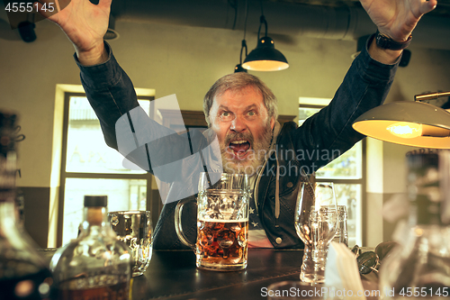 Image of The senior bearded male drinking beer in pub