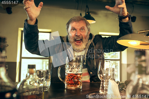 Image of The senior bearded male drinking beer in pub