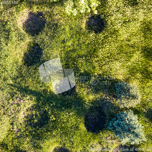 Image of pits in the fields for growing trees, top view