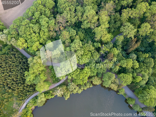 Image of Top view of a green forest with trails and a lake