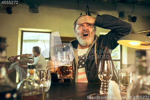 Image of The senior bearded male drinking beer in pub