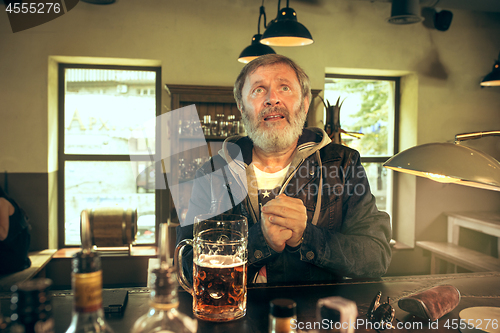 Image of The senior bearded male drinking beer in pub