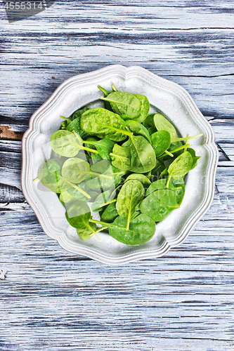 Image of spinach