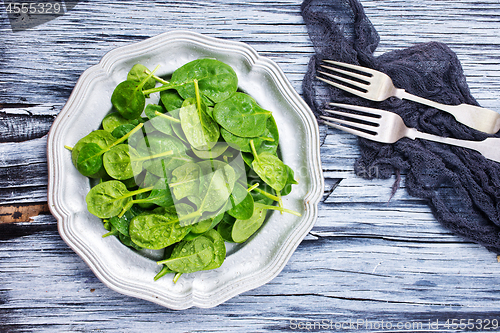 Image of spinach