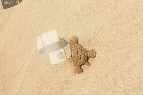 Image of sand shape made by turtle mold on summer beach