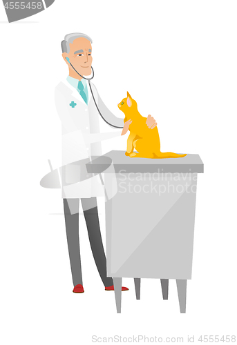 Image of Senior caucasian veterinarian examining cat.
