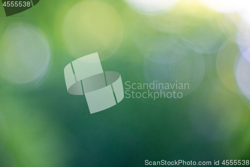 Image of Bright creative background of blurry green foliage with bokeh ef