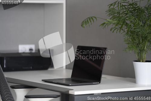 Image of New modern laptop with black screen, up-to-date equipment and green flowerpot on an office table. Green workspace concept.