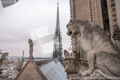 Image of Chimera of the Cathedral Notre Dame de Paris