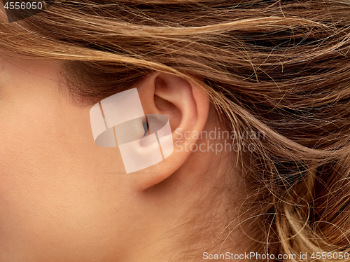 Image of close up of young woman face from ear side