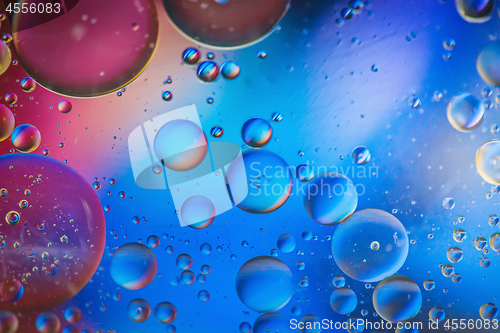 Image of Multicolored abstract defocused background picture made with oil, water and soap