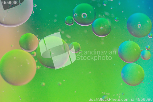 Image of Defocused green defocused abstract background picture made with oil, water and soap