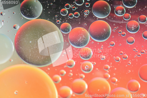 Image of Red and orange abstract defocused background picture made with oil, water and soap