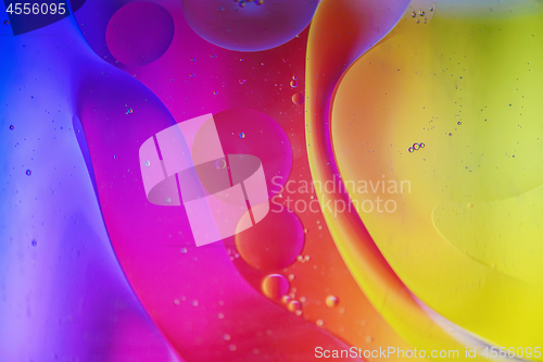 Image of Rainbow abstract defocused background picture made with oil, water and soap