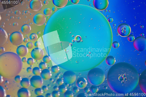 Image of Rainbow abstract defocused background picture made with oil, water and soap