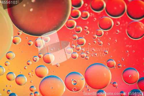 Image of Red and orange abstract background picture made with oil, water and soap