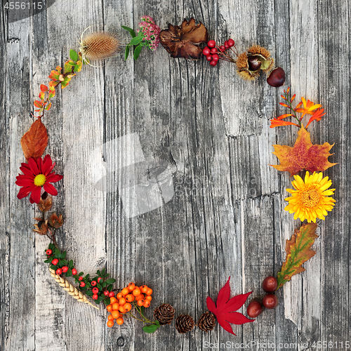 Image of Autumn Wreath Beauty