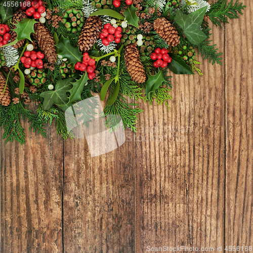 Image of Winter Flora on Rustic Wood  