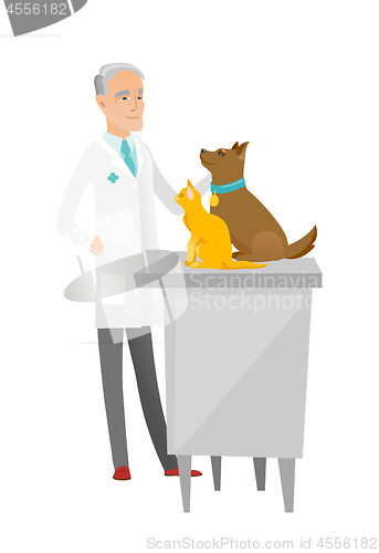 Image of Senior caucasian veterinarian examining pets.
