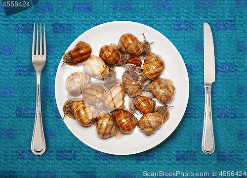 Image of Seafood on a plate for cooking