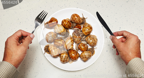 Image of Seafood on white plate for cooking