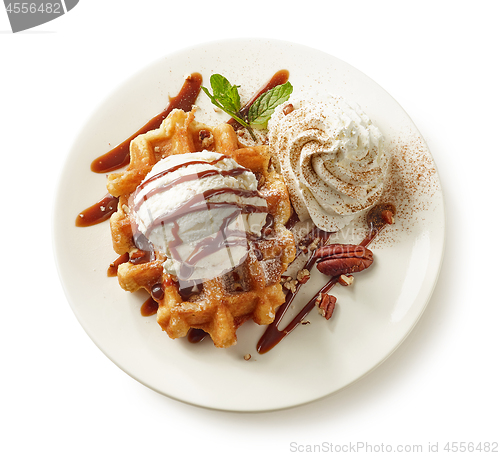 Image of plate of belgian waffle dessert