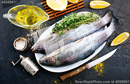 Image of raw fish