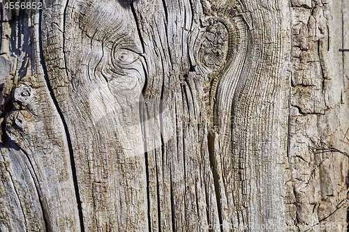 Image of Old Wood Texture