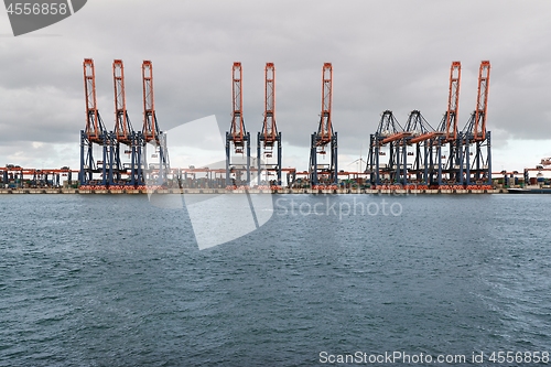 Image of Container Cranes Cargo Dock